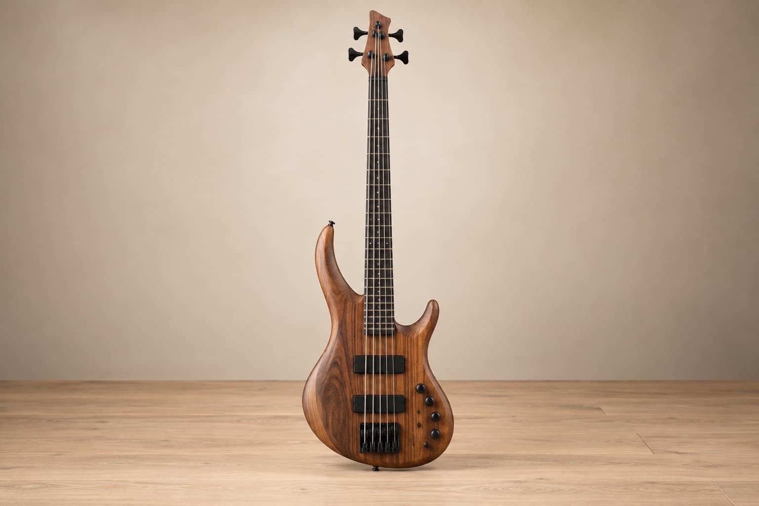 Complete modern ergonomic five-string electric bass guitar